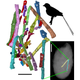 Illustration for article titled Why Did Scientists Mistake This Ancient Bird Egg For A Dinosaur Egg?